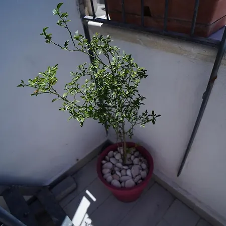 Casa Delle Rondini Apartament *