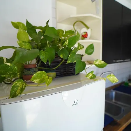 Casa Delle Rondini Katania