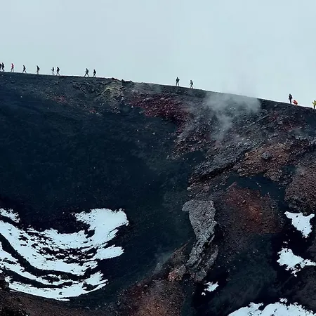 Casa Delle Rondini Apartament